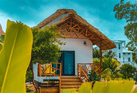hostels in caye caulker|Blue Fin Cabanas, Caye Caulker .